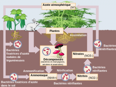 Fiche pratique 2 - Gestion écologique de l&#039;eau