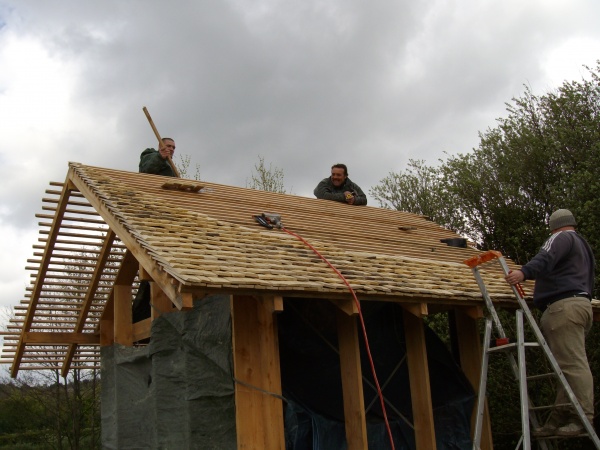 Mise en place progressive des bardeaux de châtaignier en toiture